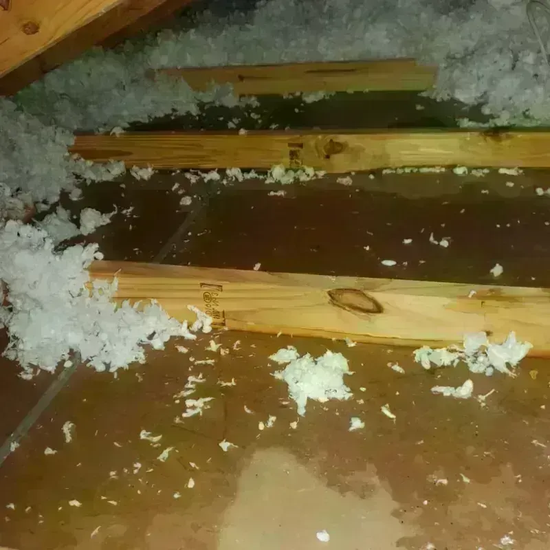 Attic Water Damage in Buchanan, MI