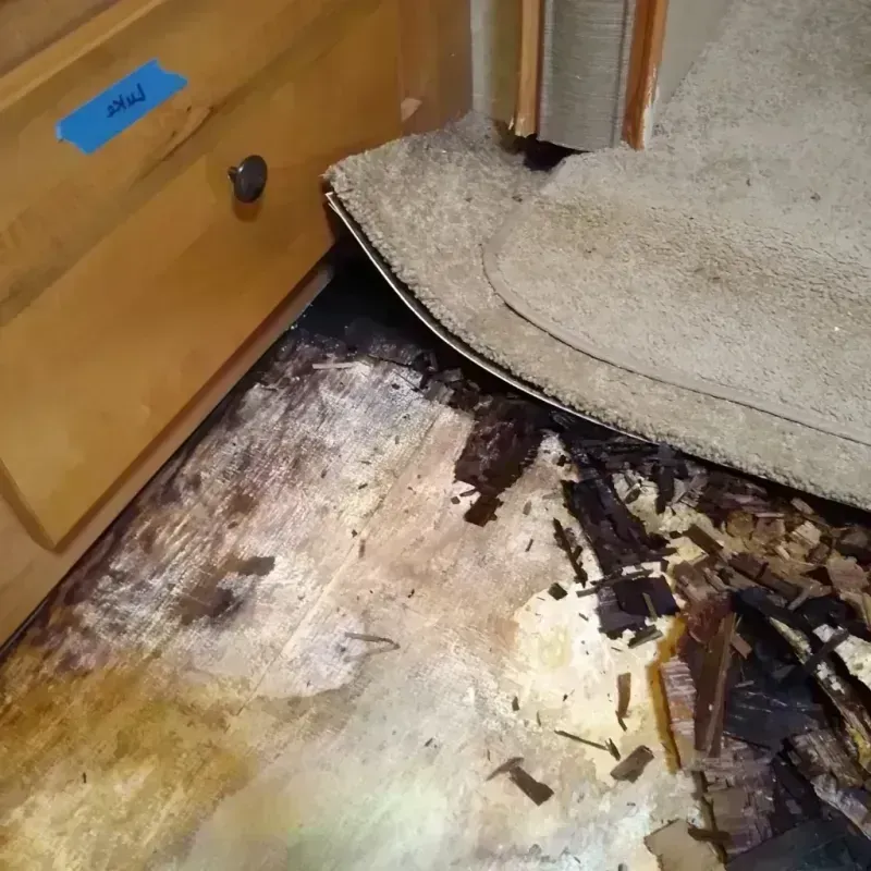 Wood Floor Water Damage in Buchanan, MI